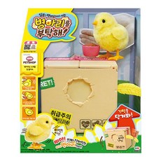 병아리키우기장난감