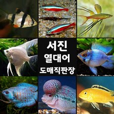 363236be46cbbdd83d4309e5b156c87d845d2877113cb3d0343720c44a82.jpg