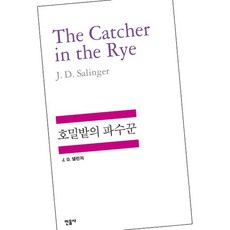 호밀밭의 파수꾼 / 민음사 책
