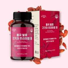 웰데이즈 홍국 발효 진도 청양 구기자 정 1000mg, 4개, 60정