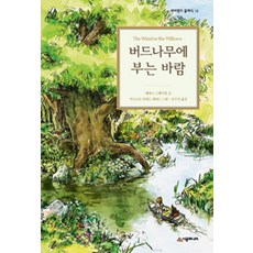 바람의마타사부로책