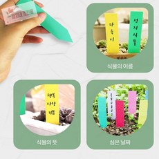 깡지네 몰 꽃 이름표 T형 식물이름표, 5x1 화이트