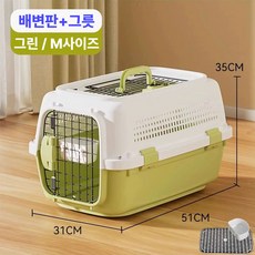 미스터킴 반려동물 파스텔 켄넬 이동장 케이지 이동가방, 그린+화이트, 1개