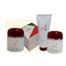 화진 아이기스 마사지크림/영양크림/초음파크림/젤크림, 영양크림