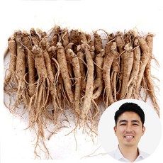 (세척)인삼수삼 소삼계삼 50~60뿌리내외, 1개