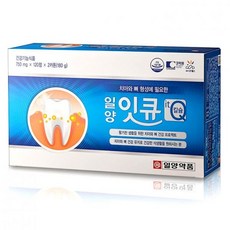 잇큐