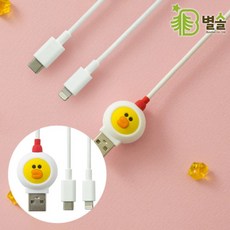 애플라이트닝어댑터