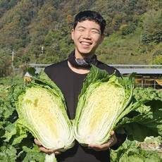 괴산 주문제작 절임배추 일반 20kg 날짜지정가능, 희망수령일 추가요청메시지 작성(일/월 불가), 1개