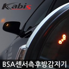 bsa소나타