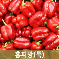 실속형 홍피망(특) 5kg 1박스 굵은사이즈 두리반농산, 1개