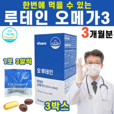 씨사이드루지