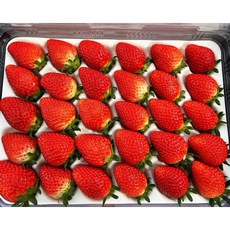손도담 국내산딸기 설향딸기 딸기 대왕딸기, 1개, 생 딸기 금실 750g(35~42과) 한입