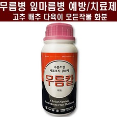 다육이무름