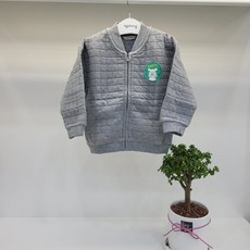 삼중지
