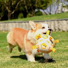 펫느 강아지축구공 강아지공던지기 대형견공 끈달린공