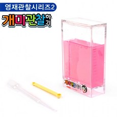 개미채집