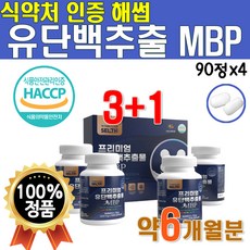 mbp메타정