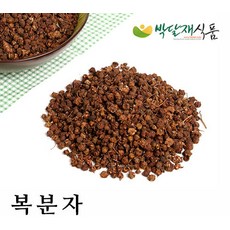 복분자 300g, 1개