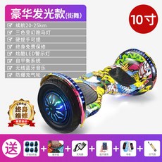 전동이륜평행차