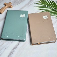 아가페쉬운성경큰글씨