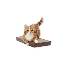 네코이찌발톱깎이