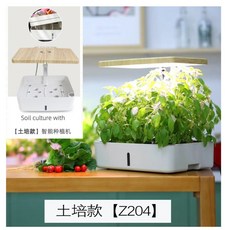 시금치수경재배