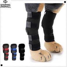 인대손상방지 뼈대테이핑 간편손세탁 장기간사용가능 개다리서포트 강아지뼈대아대, 블랙