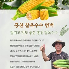 옥수수범벅