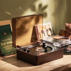 cd플레이어 턴테이블 학습용 무선 아날로그 플레이어 레트로 미니 라디오 투명, 상세페이지 참고, 3. 호두나무 충전형