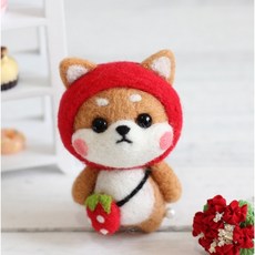 다육공예패키지
