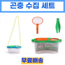 곤충채집박스