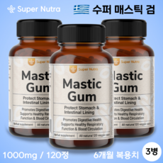 보트레매스틱검 미국빠른직구 수퍼누트라 매스틱검 1000mg 120정 60일분 3개