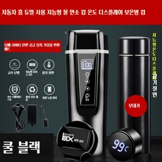 차량용보온컵 전기 텀블러 카포트 가열 커피 온수 홀더, 12.500ML 업그레이드(블랙)/12V 24