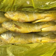 부서조기
