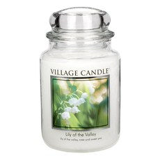 미국 빌리지캔들 56가지 아로마 향기 라지, 16.릴리오브더 벨리, 602g, 1개