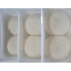 [산지직송] 국내산 노루궁뎅이버섯 500g(3팩) 노루궁댕이 노루궁댕이버섯 노루궁뎅이버섯 노루궁뎅이 노루궁뎅이버섯즙 버섯 노루궁뎅이버섯건조 노루궁뎅이버섯분말 노루버섯, 6개