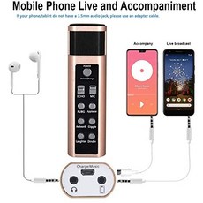 Remall Desktop Condenser Microphone with Voice Change and Sound Effects Recording Microphone for iPhone Android Phone C-B07Z2RD11V, Goldone size