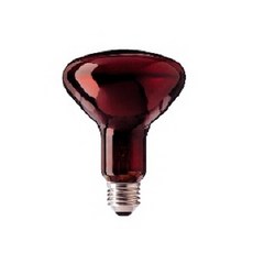대경 적외선 조사기 필립스 램프, 100W, 1개