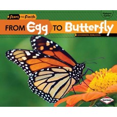 (영문도서) From Egg to Butterfly Library Binding, Lerner Publications (Tm), English, 9780761365624