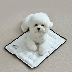 텍미홈 강아지 항균 쿨젤매트 고양이 애견 양면 시원한 쿨매트, 화이트, 1개