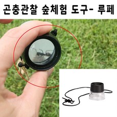 확대경관찰완구채집곤충용경dd-11012평점