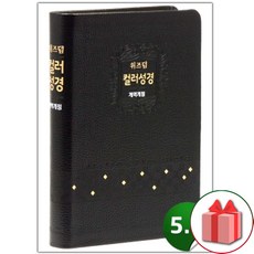 선물+위즈덤 [개역개정]컬러성경-대(천연우피/무지퍼/블랙)