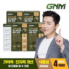 [4개월분] GNM 기억력 인지력 포스파티딜세린 징코 60캡슐x4박스, 60정, 4개