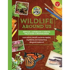 (영문도서) Reptiles Amphibians & Insects--Field Guide & Drawing Book: Learn How to Identify and Draw Re... Library Binding, Walter Foster Jr. -- Quarto..., English, 9781942875840