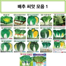 다듬배추