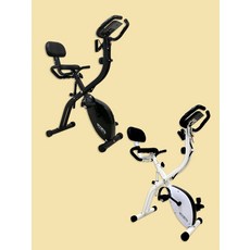 핏분실내자전거