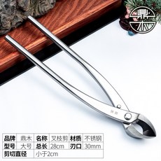 레지나가위