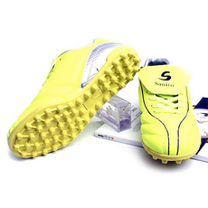 슬레진저풋살화