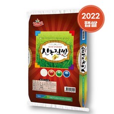 영광군농협 신동진쌀, 20kg, 1개