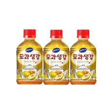 썬키스트 모과생강, 280ml, 10개